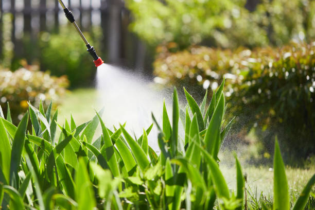24/7 Emergency Mosquito Control experts in Westfield, IN